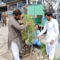 Green Seekers Activity